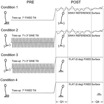 Tonic Neuromuscular Processing Affects Postural Adaptation Differently in Aging and Parkinson's Disease